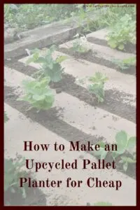 You can make an upcycled pallet planter for cheap by using reclaimed materials and a little creativity.  Grow vertically in small spaces!