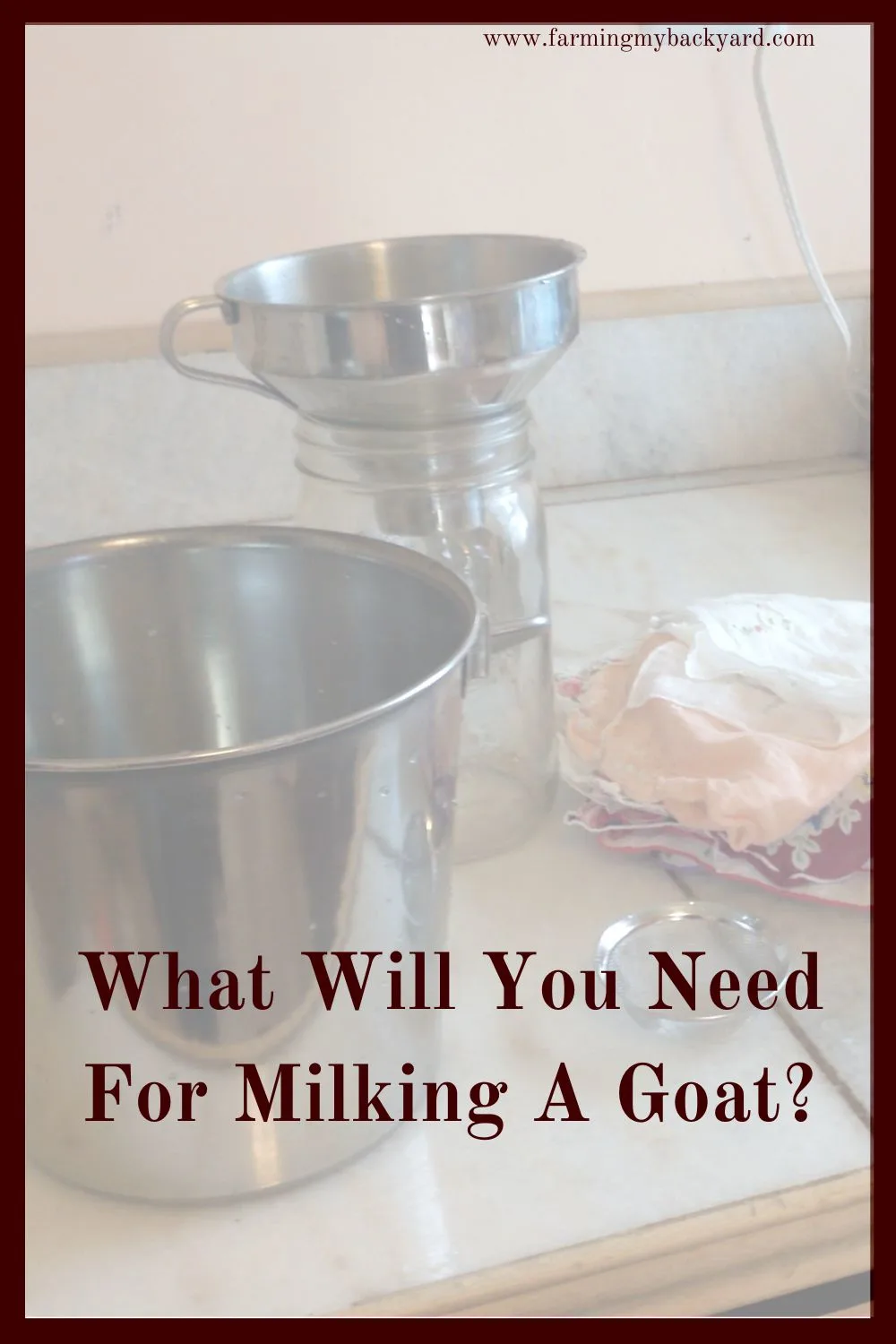 What equipment will you need before you start milking your diary goats? Make sure you know before milking a goat!