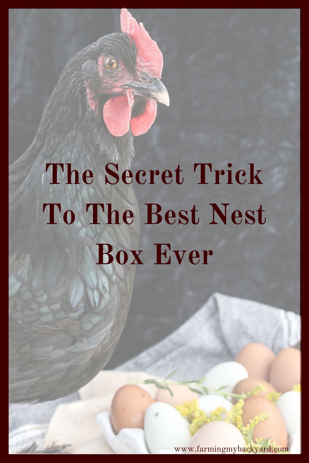 Want to know the secret trick to the best nest box ever? This nest box is great for both rabbits and chickens. Your chickens will love it!