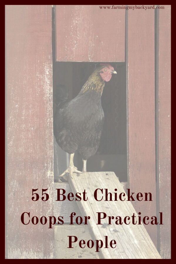 Getting chickens, but not sure you can build a fancy coop?  Here is a mega list of design ideas for chicken coops you can build yourself.