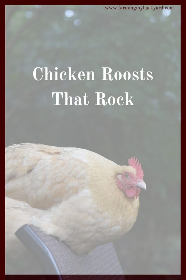Chicken roosts are a crucial part of the coop.  Your flock needs to feel safe at night.  Here are the best sizes and styles for you to use!
