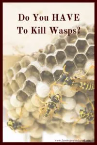 You DON'T have to kill wasps! They can even be considered beneficial! Plus, there are non-toxic ways to discourage them from building nests.