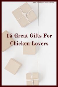 Don't buy something that's just going to get tossed into a closet and forgotten!  Here are some ideas for the most important gifts for chicken lovers!