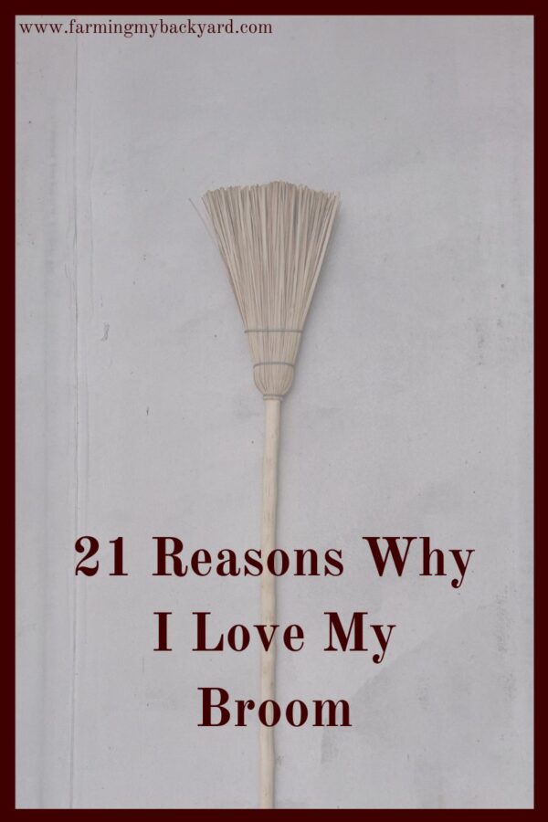 Brooms are awesome!  Here's a list of 21 reasons why I love my broom.