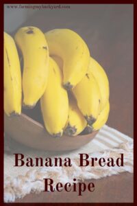 Here is a quick and easy banana bread recipe that I use when our bananas are languishing uneaten in the fruit bowl.