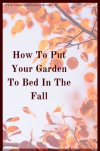 Put your garden to bed in the fall and get ready now for a great spring.  Preparing your garden beds now means even less work next year.