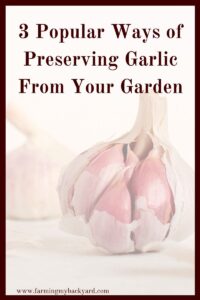 Preserving garlic is one of the easiest ways to learn how to store your garden's harvest for later.  Here are three different methods you can use to store your garlic crop and enjoy your delicious homegrown garlic all year!
