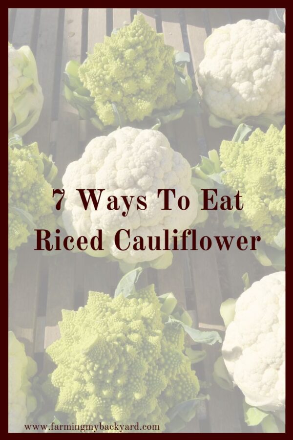 Riced cauliflower may not be the most spectacular food out there, but it certainly is versatile. Here are seven ways you can prepare cauliflower rice.