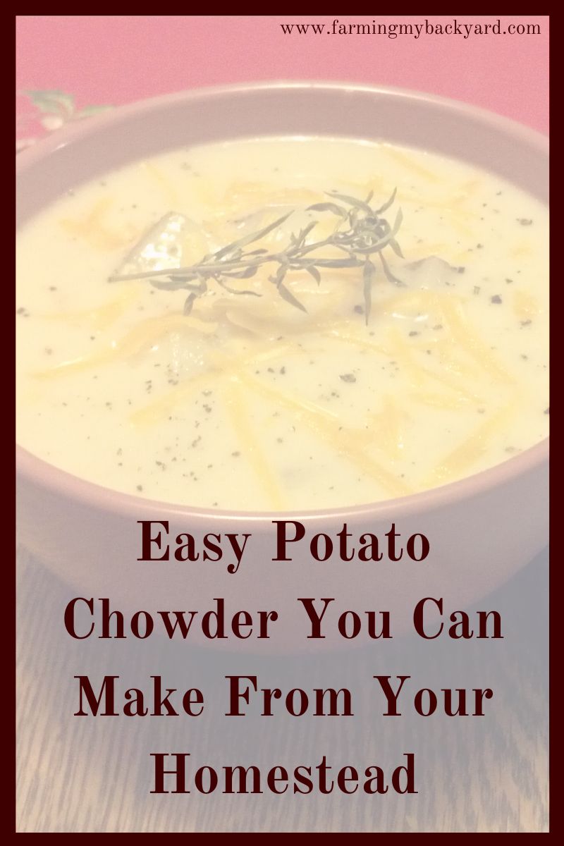 Potato chowder makes a simple and versatile meal that you can practically grow yourself. Homegrown potatoes, onion, and stock make it truly homemade.
