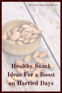 Here are 20 healthy snack ideas that will help you survive harried days. If you're like me, it can sometimes get busy around the homestead!