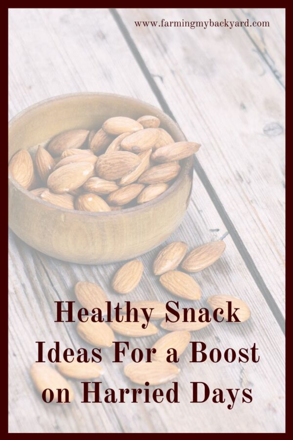 Here are 20 healthy snack ideas that will help you survive harried days. If you're like me, it can sometimes get busy around the homestead!