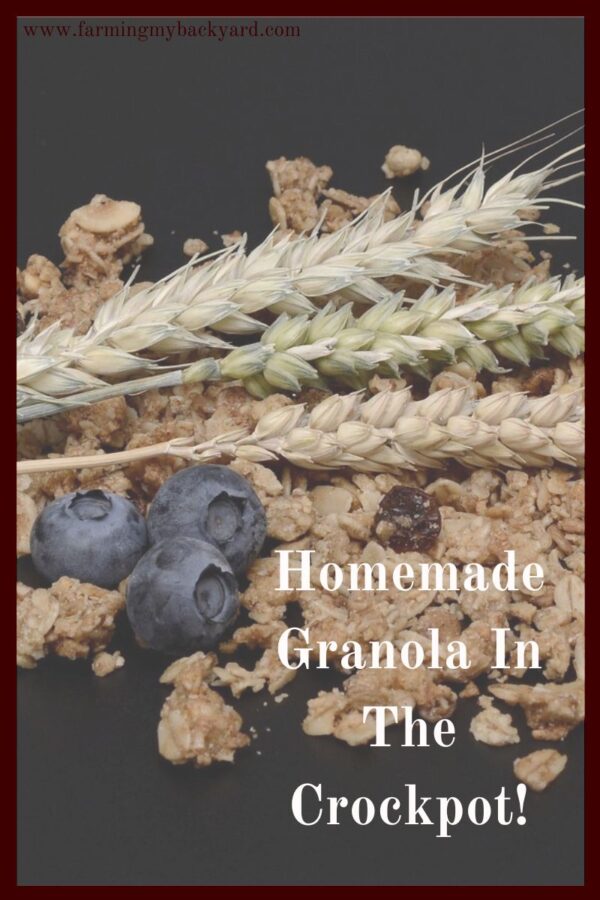 Ever thought about making your own homemade granola? Did you know that it's SUPER easy to do? It's especially easy when you make granola in the crockpot!