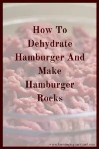 If you are looking for a storage solution for meats try making dehydrated hamburger or hamburger rocks. They don't need a freezer or refrigerator!