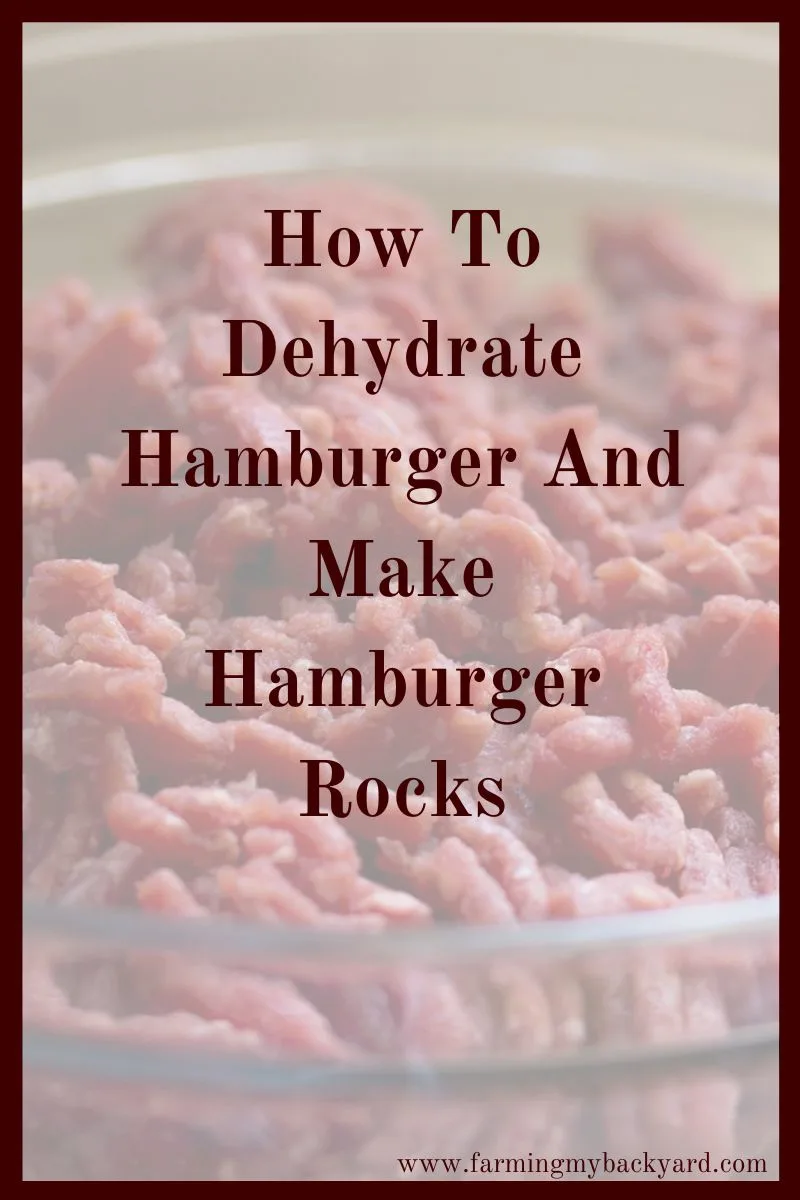 If you are looking for a storage solution for meats try making dehydrated hamburger or hamburger rocks. They don't need a freezer or refrigerator!