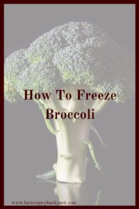 Freezing broccoli is pretty easy.  The only downside is that broccoli does need to be blanched before you can freeze it.  Fortunately, blanching is easy!