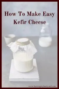 Make kefir cheese at home with only a few simple steps and minimal equipment. It's super easy and so delicious and can be used like cream cheese.