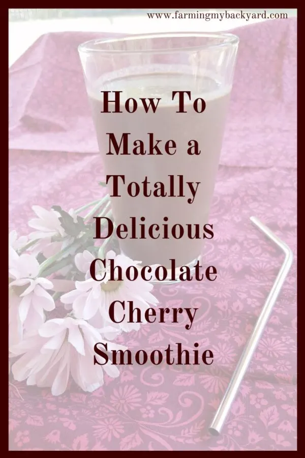 Make and easy and delicious chocolate cherry smoothie with this easy recipe! Who said green smoothies have to look green!
