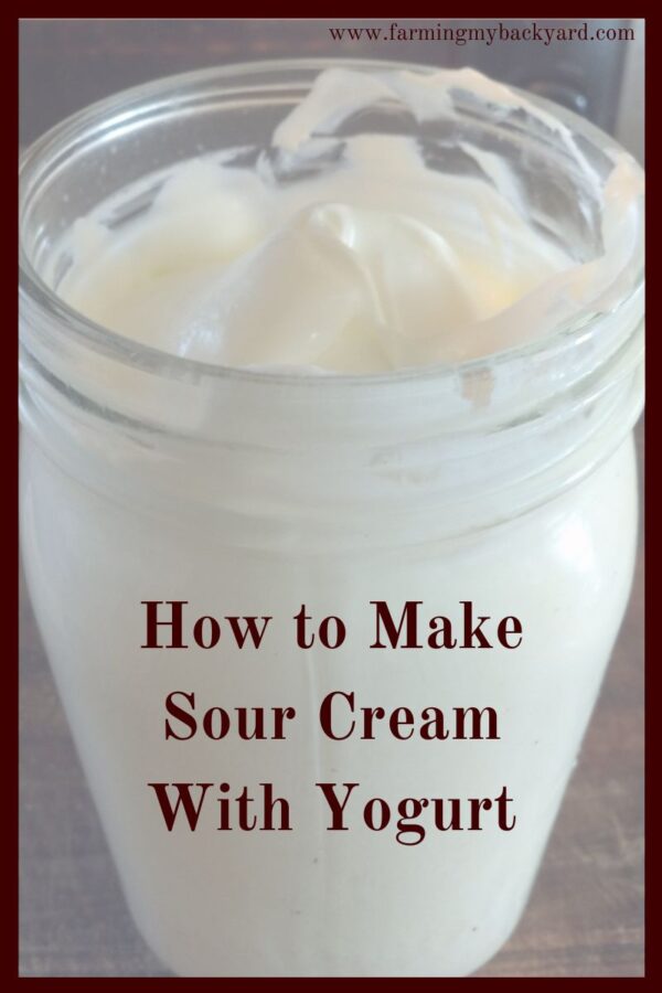 Do you know how to make sour cream?  I recently discovered that homemade sour cream is SO EASY!  All you need is cream, and a culture.