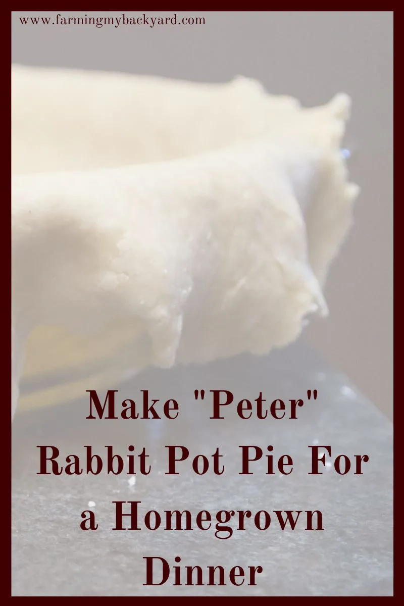 Rabbit pot pie is an easy and yummy recipe to introduce your family to eating rabbit meat. If you want to take preschool literature unit studies to a whole other level, or are just looking for another way to cook rabbit, here's a great rabbit pot pie recipe!