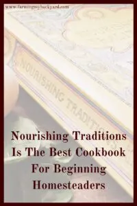 Nourishing Traditions is the best cookbook for beginning homesteaders. You don't need a yard or any animals at all to start preparing homemade foods!