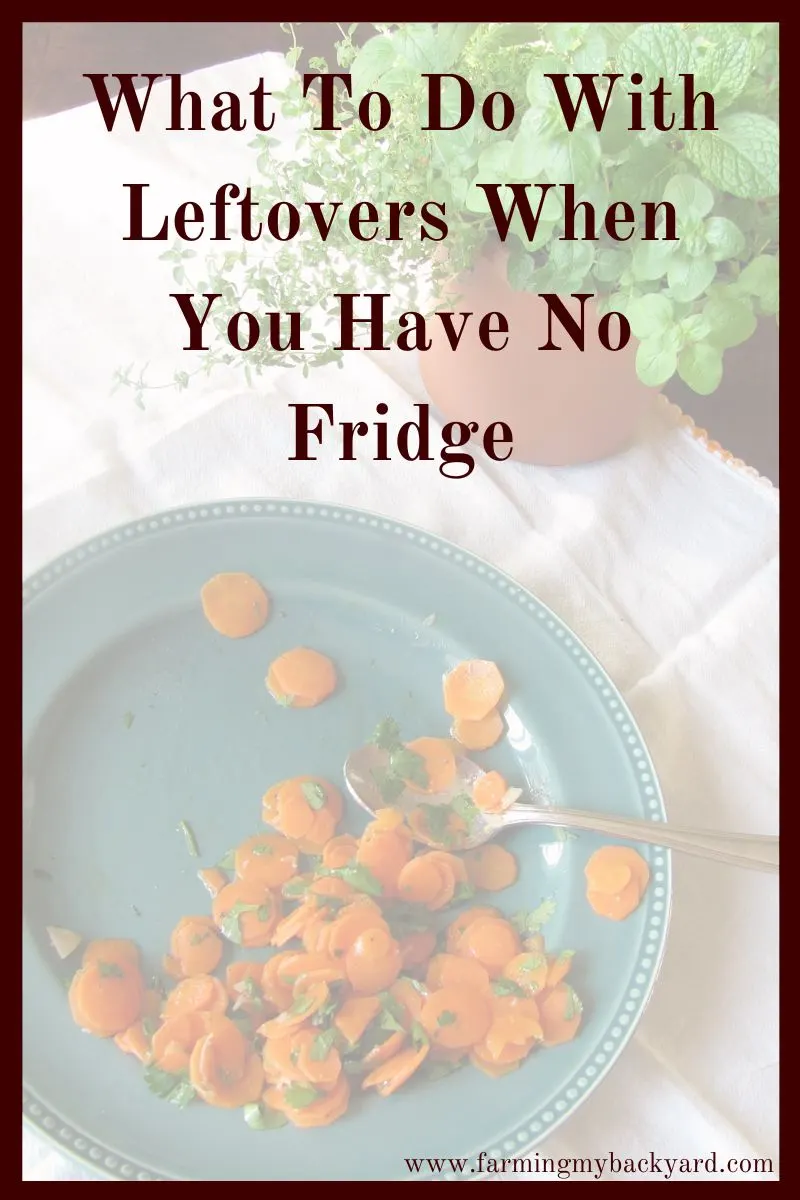 Using leftovers can be tricky if you don't have a fridge or use a small one. Here are some ideas to save space.