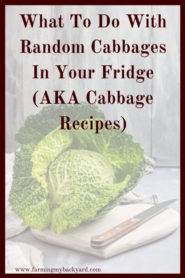 I don't really like cabbage. I've never cooked cabbage before. I don't know what to DO with cabbage! So, here are some tasty looking cabbage recipes to try!