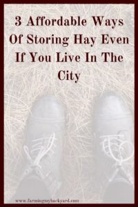Storing hay bales in the city takes some creativity but small space hay storage is possible for urban farmers. Here are 3 ways to keep it clean.