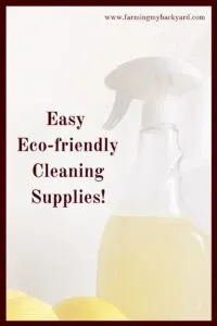 Eco-friendly cleaning supplies don't have to be expensive or hard to find.  Here are a few basic ones that will clean just about everything.