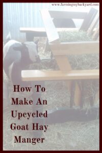 Make an upcycled goat hay manger from an old futon frame. A little creativity goes a long way when building an urban farm on a budget.
