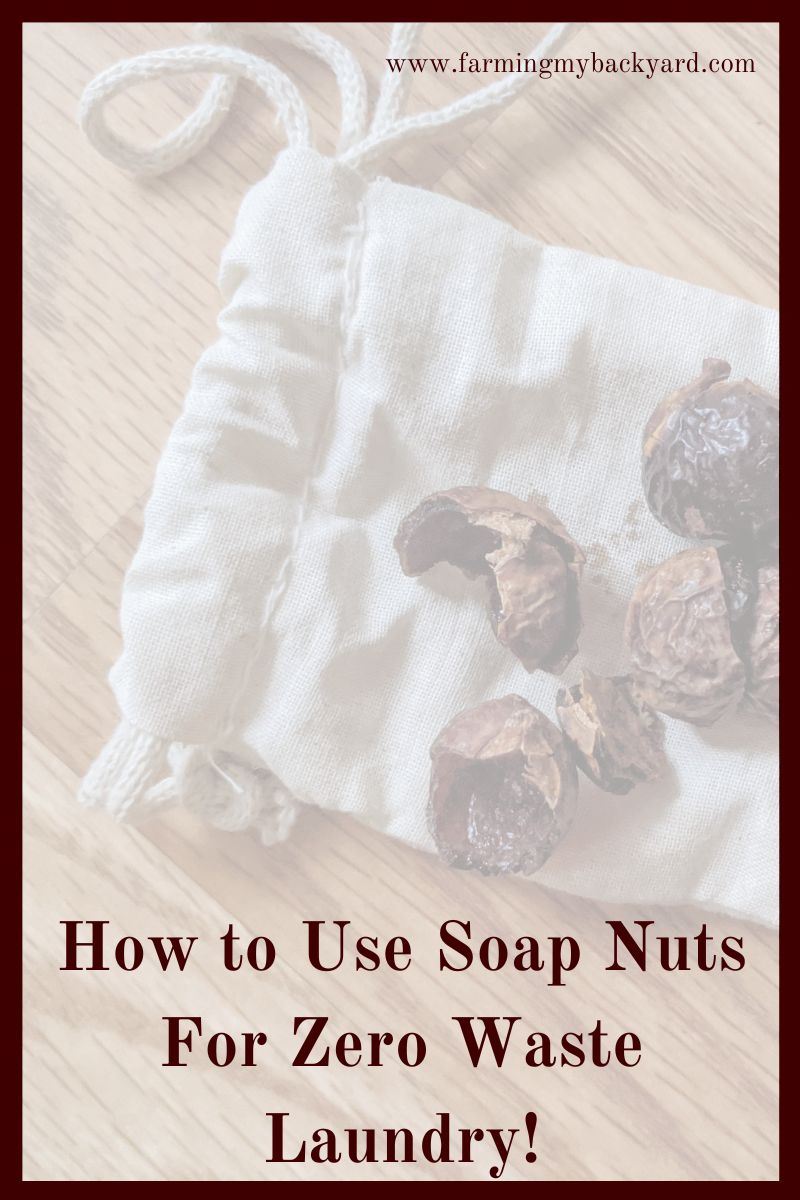 Here's how to use soap nuts and make your laundry zero waste. It's completely plant based, leaves no residue, and is grey water safe!