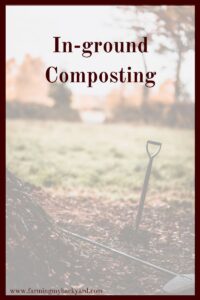 Composting is pretty easy, but not everyone wants an ugly bin. In-ground composting is a simple way to compost right in your garden!