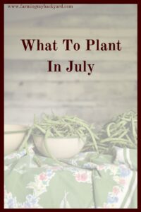It''s hot, hot, hot. Some plants are more than happy to grow, and it's time to think fall garden! Here's what to plant in July.