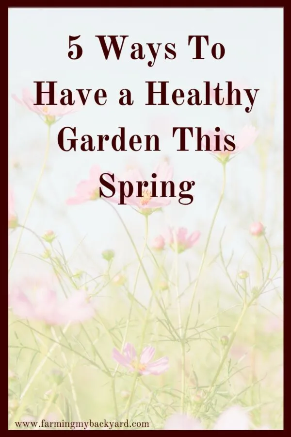 If you are not naturally blessed with a green thumb, here are some ways to up your chances of having a healthy garden.