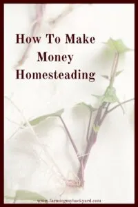 It's possible to make a living from your land if you have the motivation. Here are some ideas on how you can make money homesteading.