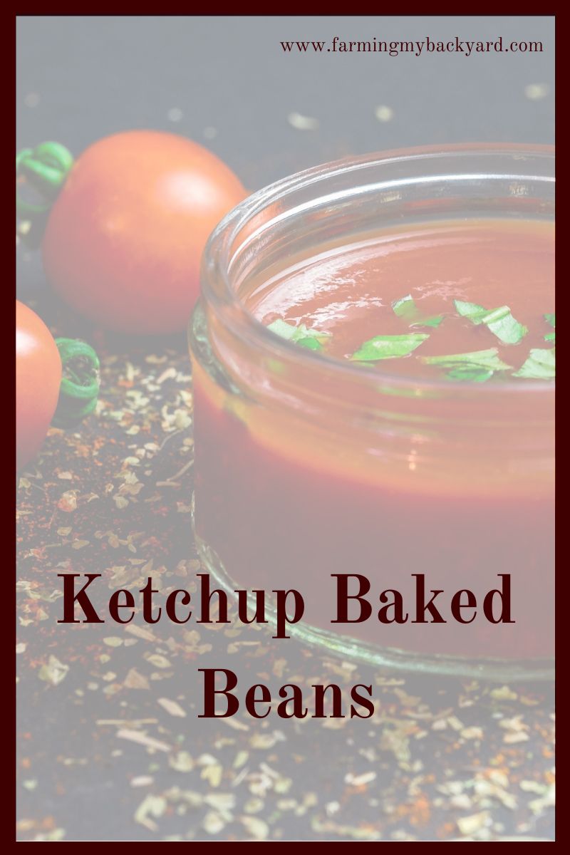 This super simple baked beans recipe is made using ketchup and is perfect for days when you need to go to the store but haven't gone yet!